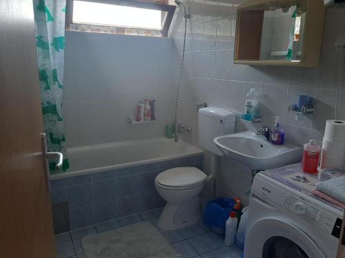 Koupelna v ubytování Apartman Ada