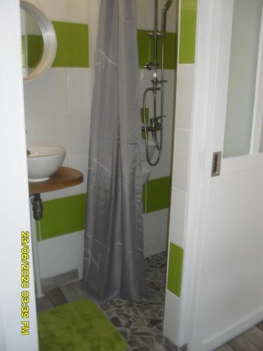 une salle de bain avec un rideau de douche et un lavabo dans l'établissement maisonnette neuve à la campagne, à Urgosse