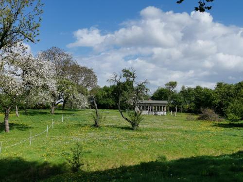 a house in the middle of a field with trees at Gutshaus Thorstorf FeWo Wohlenberger Wiek in Warnow