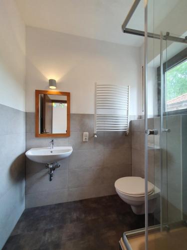 La salle de bains est pourvue d'un lavabo, de toilettes et d'un miroir. dans l'établissement Garni Hotel Biebertal am Milseburgradweg, à Hofbieber