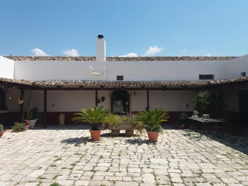 a patio with potted plants in front of a building at Oasi Rupestre in Montescaglioso