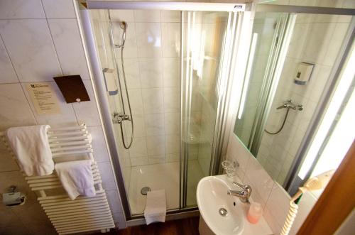a bathroom with a shower and a sink and a shower at Hotel Blumental in Mürren
