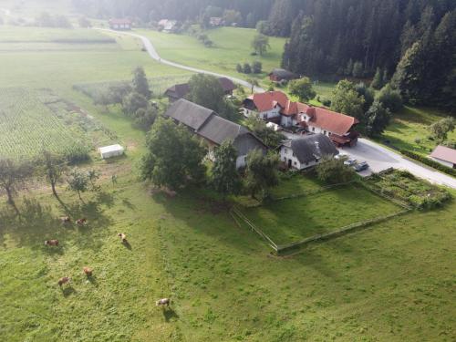 Gallery image of Tourist Farm Klevž in Slovenj Gradec