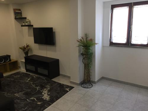 a living room with a television and a vase with a plant at Casa Porta de Santiago in Pinhel
