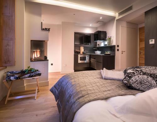 a bedroom with a large bed and a kitchen at Les Loges Annecy Vieille Ville in Annecy