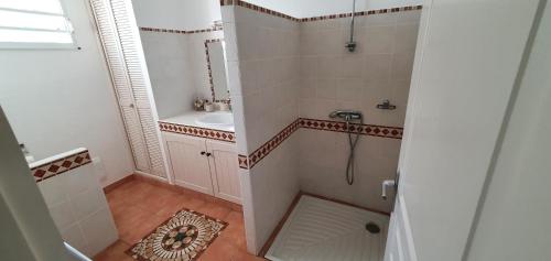 a small bathroom with a shower and a sink at Villa Bois d'Inde in Le Diamant