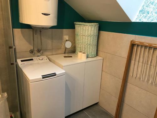 a washing machine in a room with a green wall at Olimpijska kuca Jahorina - Apartman A708 in Jahorina