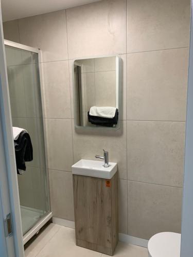 La salle de bains est pourvue d'un lavabo et d'un miroir. dans l'établissement Plaza suite 61 B, à Bangor