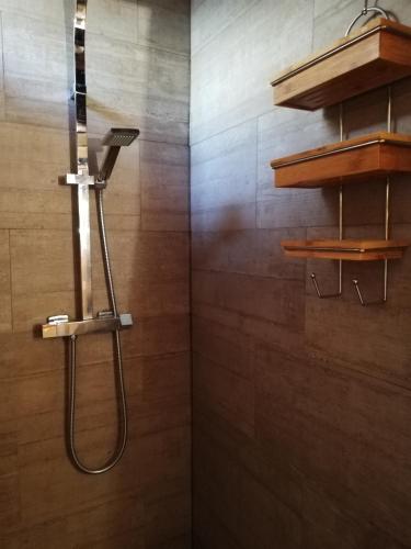 une douche avec pommeau de douche dans une salle de bain dans l'établissement Gîte Sainte Croix en Jarez, Le Val des Equins, à Sainte-Croix-en-Jarez