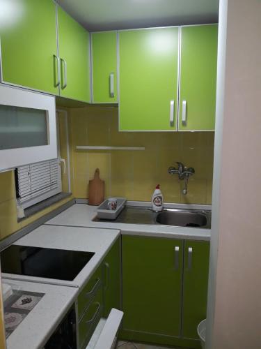 a kitchen with green cabinets and a sink at APARTMAN BUKULJA 2 in Arandelovac