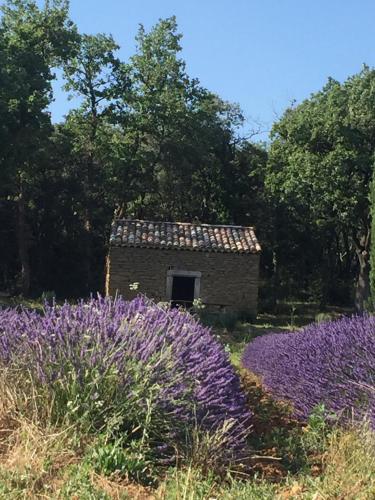 la maison de l'olivier – Photos 2