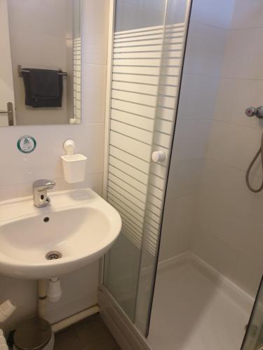 a bathroom with a sink and a shower at Hôtel Belfort in Montreuil
