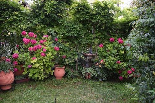 einen Garten mit rosa Blumen und Pflanzen in Töpfen in der Unterkunft Garden's Villa in Leptokaryá