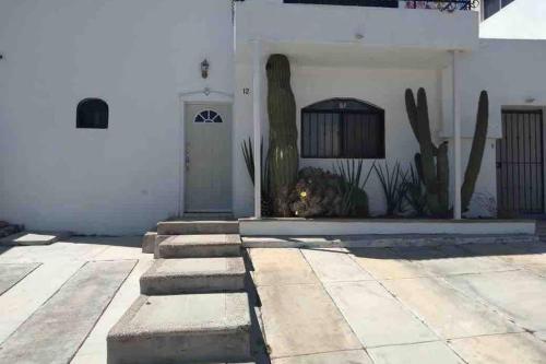 a courtyard with cacti and a bird cage and a cactus at Casa 12-1 - Beautiful Mountain Views (Newly Renovated - Pictures To Come!) in San Carlos