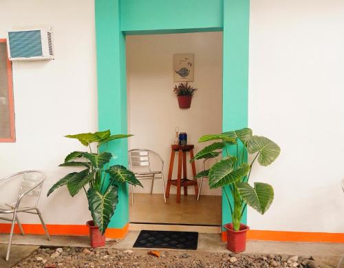 a room with two plants in front of a wall at SmallFry's Beach Resort in Calatrava