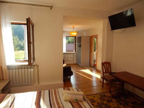 Μια τηλεόραση ή/και κέντρο ψυχαγωγίας στο Вілла ЕДЕЛЬВЕЙС