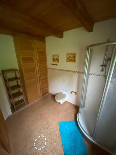 a small bathroom with a toilet and a shower at Ferienhaus "Am Bergblick" Sebnitz in Sebnitz