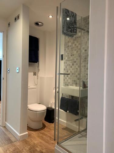 uma casa de banho com um WC e uma cabina de duche em vidro. em Mitre Court Holiday Home em Plymouth