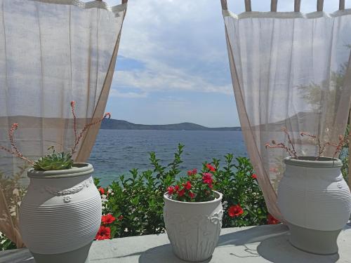 Gallery image of Alexandra Studios 2 in Alonnisos Old Town
