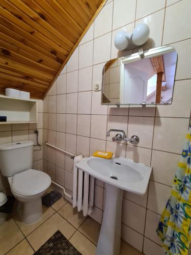 a bathroom with a toilet and a sink and a mirror at Ośrodek wczasowy Ewa in Łeba