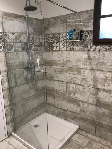 une salle de bain avec une douche avec une porte vitrée dans l'établissement En Buena Hora, à Saze
