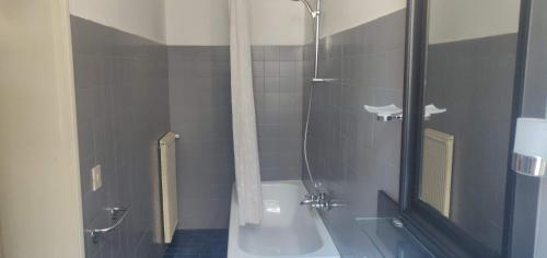 Das Bad ist mit einer Dusche und einer Badewanne ausgestattet. in der Unterkunft Charming large palazzo in center Venice for up to 9 people in Venedig