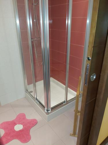 a shower with a pink rug in a bathroom at Apartamentos Tajamar in Lastres