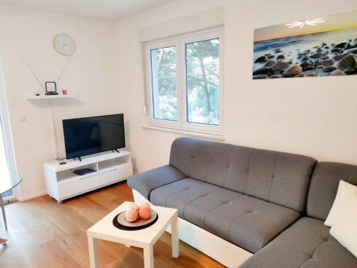 Televízia a/alebo spoločenská miestnosť v ubytovaní Apartments Elin