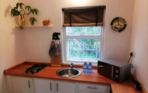 eine Küchentheke mit einer Spüle und einer Mikrowelle in der Unterkunft The Maun Studios in Maun