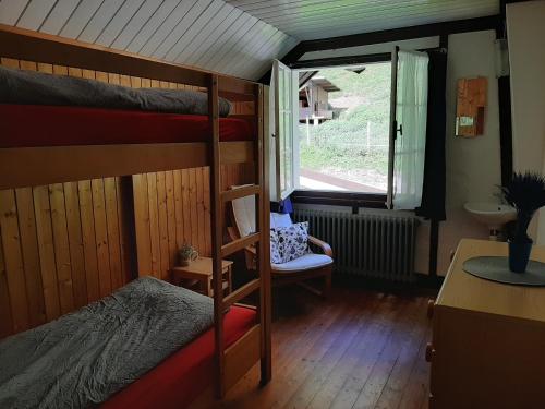 Cette chambre comprend 2 lits superposés et une fenêtre. dans l'établissement Hostel Rotschuo Jugend- und Familienferien, à Gersau