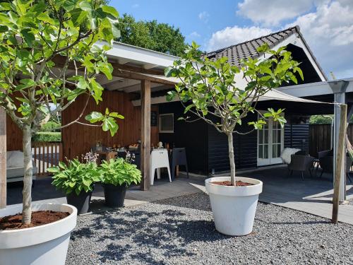 Taman di luar B&B Drenthe