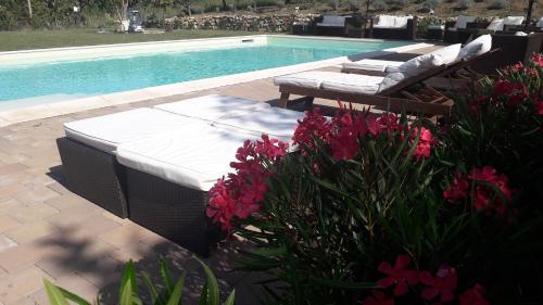 una piscina con 2 tumbonas y flores en un patio en Masseria boutique b&b, en Montella