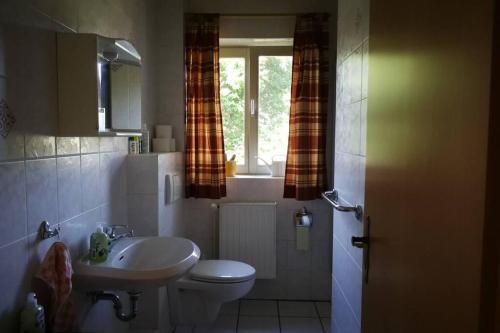 ein Bad mit einem Waschbecken, einem WC und einem Fenster in der Unterkunft Ferienwohnung in Schleswig-Holstein, Hohn in Hohn