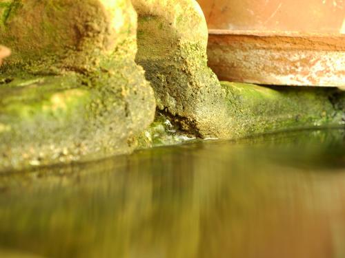 a close up of some water next to some rocks at Casa Dos Arrabidos in Torres Novas