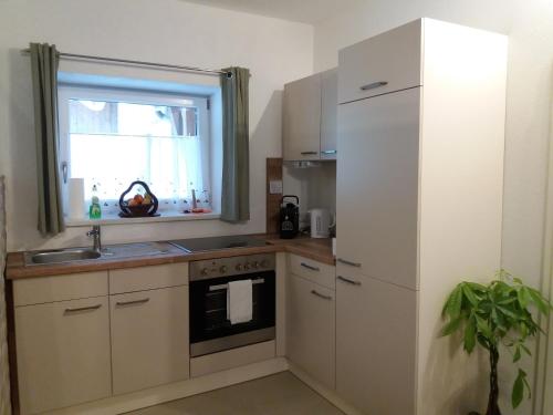 a kitchen with a white refrigerator and a window at Apartment Riedhof in Fahrenbach