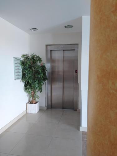 a hallway with a elevator and a potted plant at Hotel Santo Condestavel in Fátima