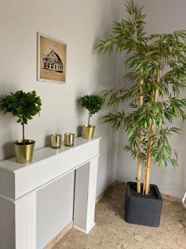 a white fireplace with three potted plants on it at Hotel Kellermann in Overath