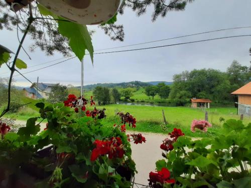 Zahrada ubytování Guest House Šobić