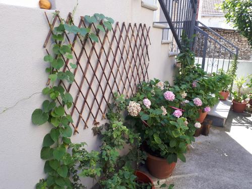 Κήπος έξω από το Apartments City Paradise