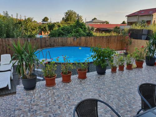 un patio con piscina y un montón de macetas en Casa Ingrid, en Eforie Nord