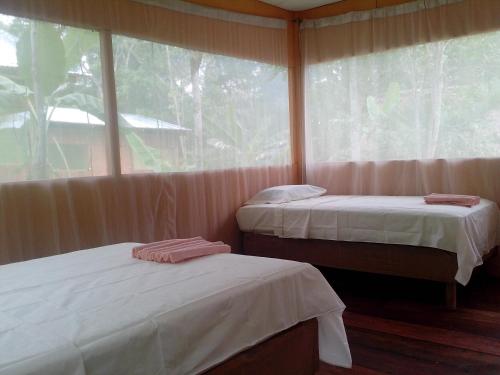 two beds in a room with a window at Jungle Explorer Lodge in Mazán