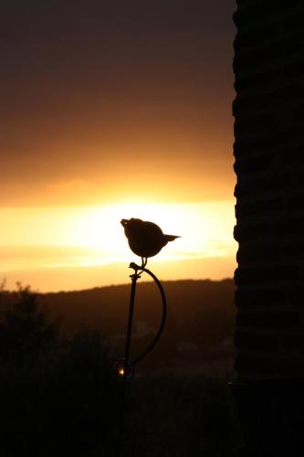 Amanecer o atardecer desde el apartamento o alrededores