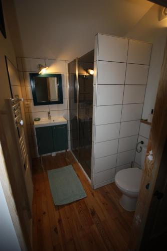 Un baño con inodoro, lavabo y ducha. en Le studio de Jacobiel, en Verlhac-Tescou