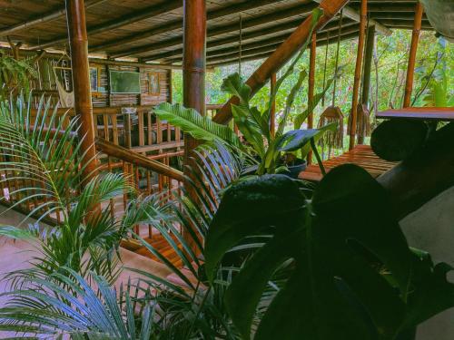 a room with plants and a wooden deck at Cinnamon House in Mindo