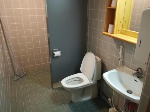 een badkamer met een toilet en een wastafel bij Kelo Seasons Spring in Luosto