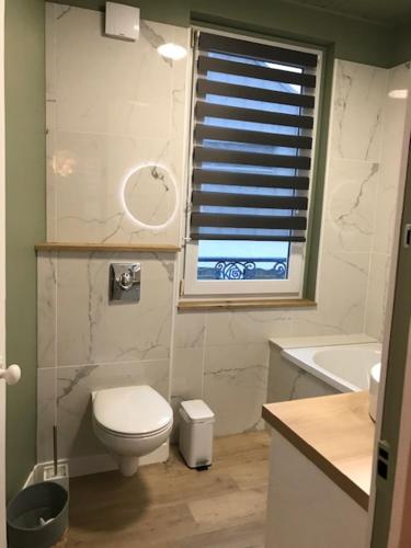 a bathroom with a toilet and a sink and a window at ty_yaouen maison de vacances in Carantec