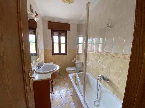 Un baño con lavabo, inodoro y ducha. en Casa Balmori El Peral, en Ribadedeva
