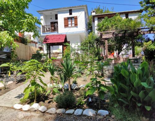a garden in front of a house at Flower house in Chorefto