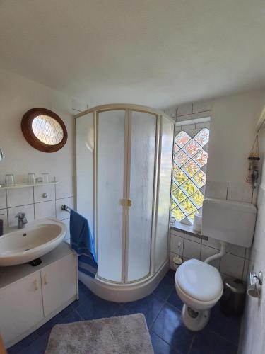 a bathroom with a shower and a toilet and a sink at Ferienhaus Cziuppa in Bad Salzungen