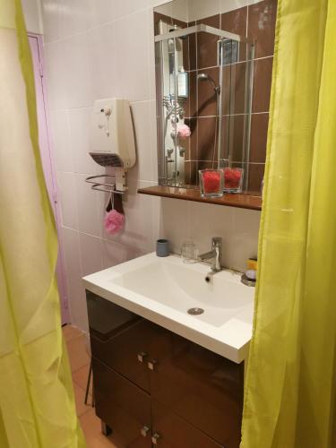 une salle de bain avec un lavabo et un miroir dans l'établissement APPARTEMENT EN SOUS SOL DE VILLA avec accès jardin et piscine, à Marseille